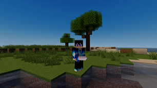 Iron Sword -Ingame