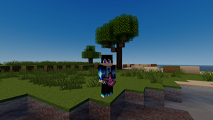 Netherite Axe -Ingame