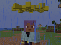 Player view