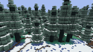 The green pine forest