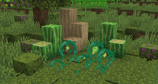 loofah.png