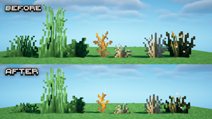 Before x After.png
