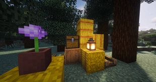 Screenshot #8