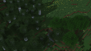 forest.png