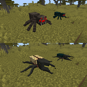 Before and after