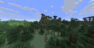 A jungle, Spuce, Dark oak, Purpleheart and Blackwood biome in a 100-block radius
