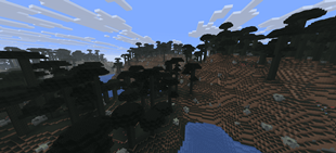 Blackwood Forest