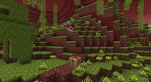 Metroid Lair.png