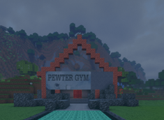 Brock's gym