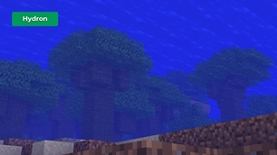Hydron Environment (Underwater)