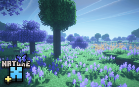 Nature X Plus: Lavender Field