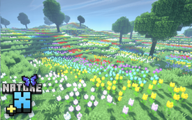 Nature X Plus: Tulip Field