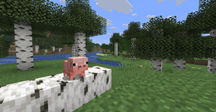 Pig on a Tree