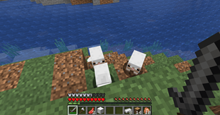 Baby Sheeps
