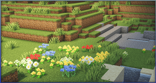 Plains Biome Example