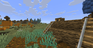 Landscape One.png