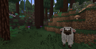 Sheep.png