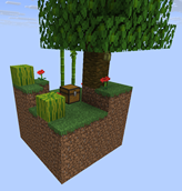 Jungle
