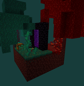 Nether Spawn