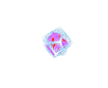 1000197994.png