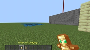 1000193744.jpg