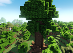 living tree