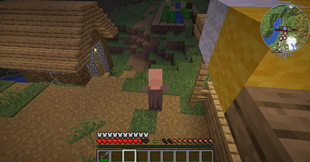 villagerMorph.png