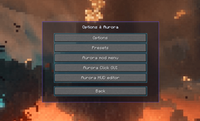 Options menu