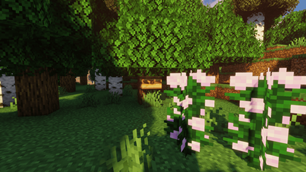 Tree4