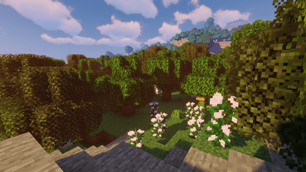 Rocks & Trees 1