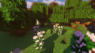 Trees2