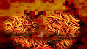 521cc30a-faaa-4eff-83cb-1f8fcedf1d85-347.png