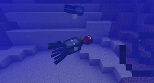 Mo' Bends Squid