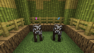 cow.png