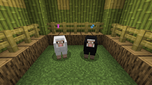 sheep.png