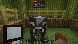 hudcow.png