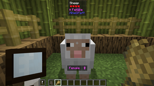 hudsheep.png