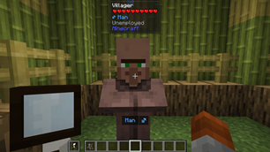 hudvillager.png