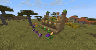 savanna base