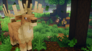 Deer Hunt