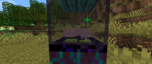 Tree Minimizer