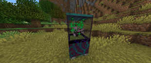 Treeminimizer2