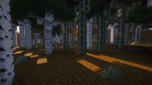 Minecraft_ NeoForge Loading... 20_02_2026 17_05_28.png
