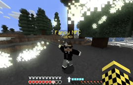 Custom NPC Compatibility 