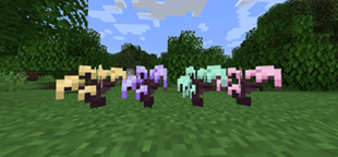 Wisteria saplings 