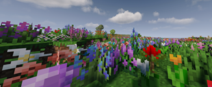 image.webp