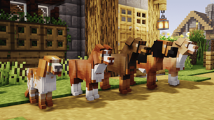 Dog breed models showcase (only a few)