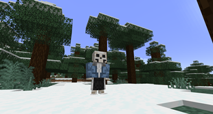 classic sans