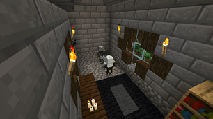 Minecraft Screenshot 2026.04.20 - 17.08.15.13.png