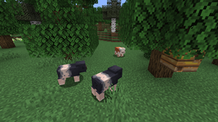 Minecraft Screenshot 2026.04.20 - 17.09.10.08.png